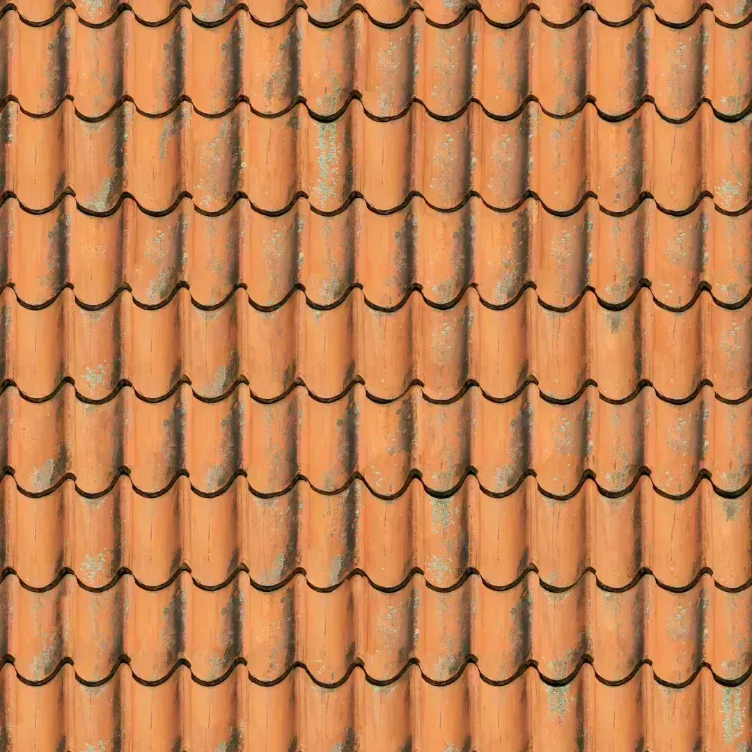 Roof Inspection